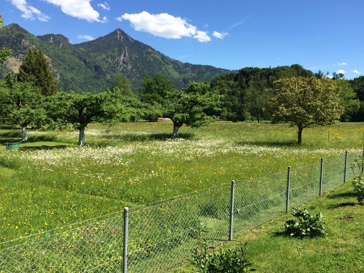 5-Sterne Active Ferienwohnung Chiemgau Marquartstein Εξωτερικό φωτογραφία